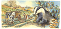 Country Animals Badger Wrap